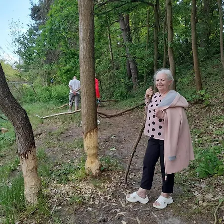 Zielone Wzgorza * Koziniec